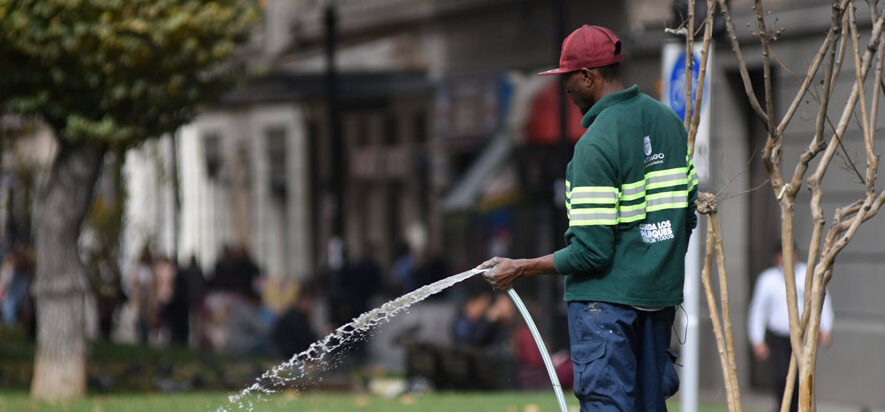 hombre inmigrante regando plaza