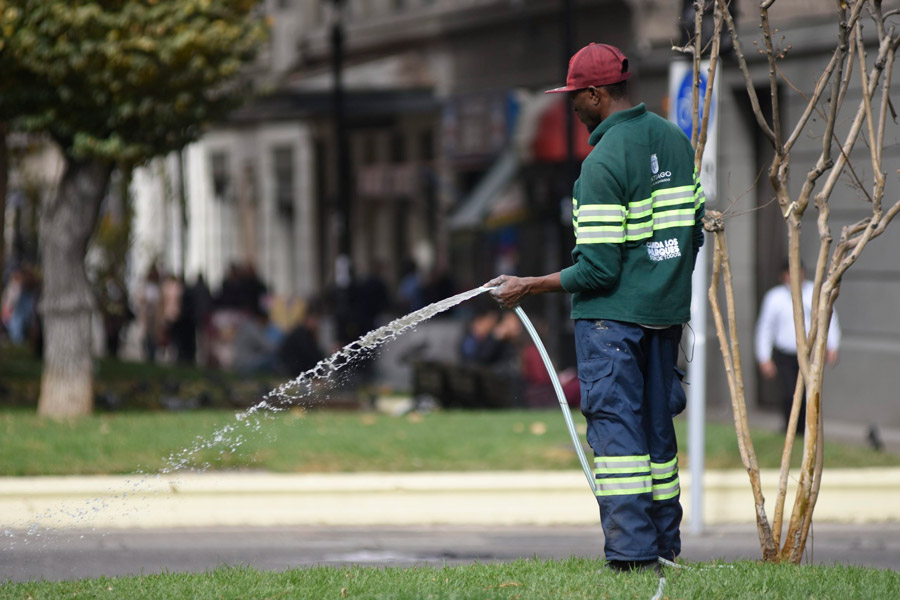 hombre inmigrante regando plaza